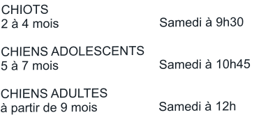 CHIOTS						 2 à 4 mois		   		Samedi à 9h30  CHIENS ADOLESCENTS		 5 à 7 mois		      		Samedi à 10h45  CHIENS ADULTES			 à partir de 9 mois	   		Samedi à 12h